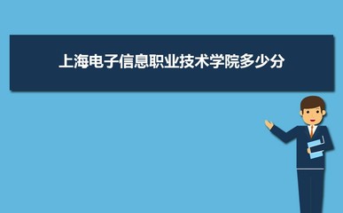 2023年上海电子信息职业技术学院湖南招生计划及批次代码详解